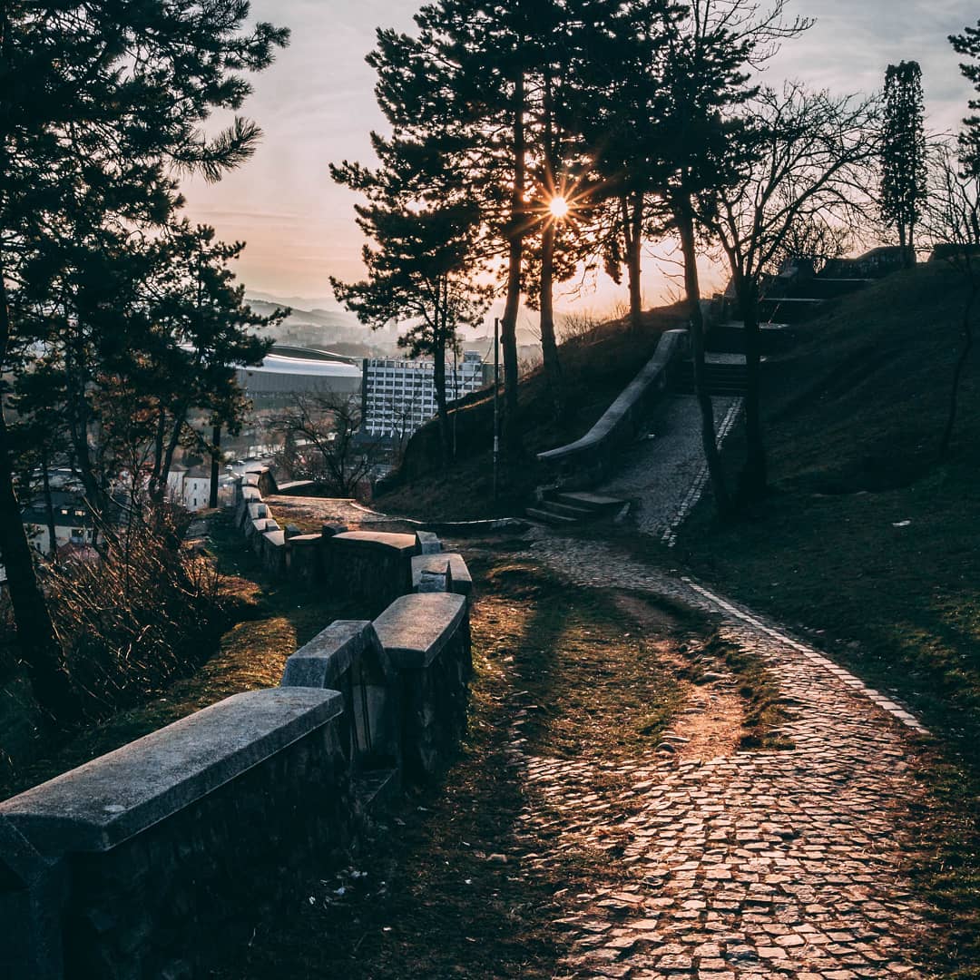 cetatuie foto cluj