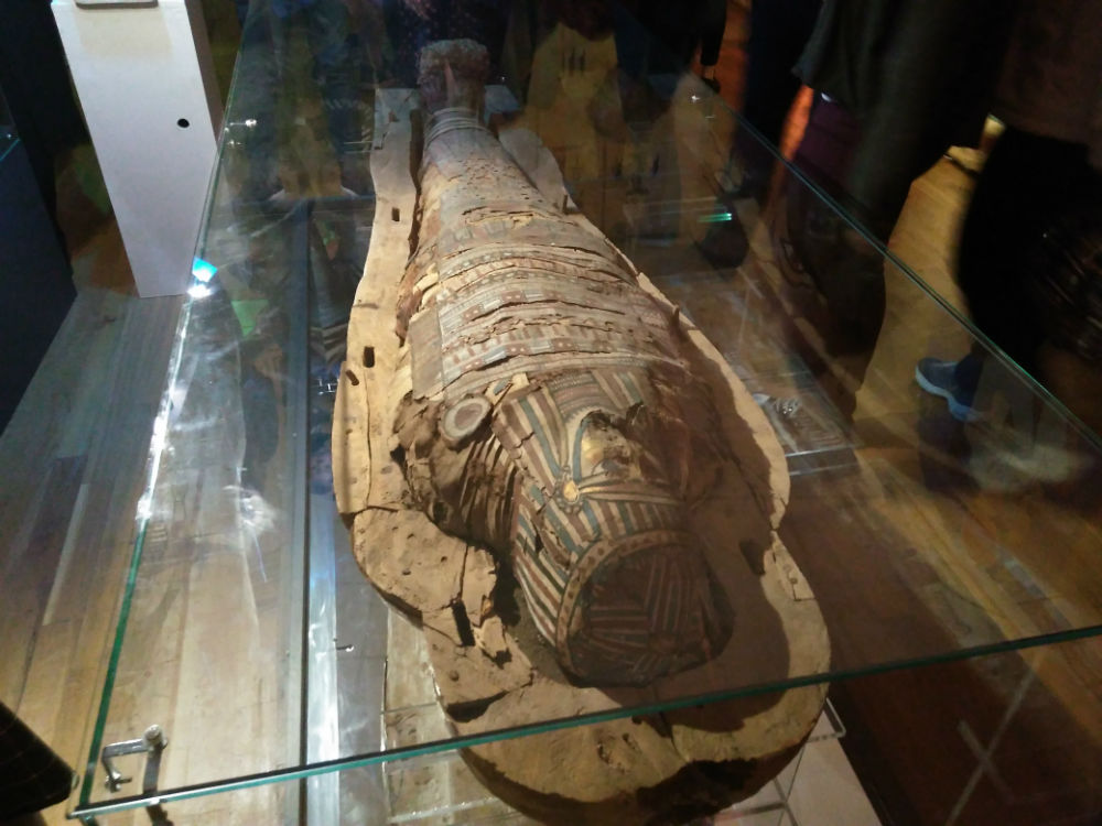 Mumia de la Muzeul de Istorie