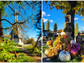 Agenda săptămânii în Cluj: evenimente 3 – 9 noiembrie 2025