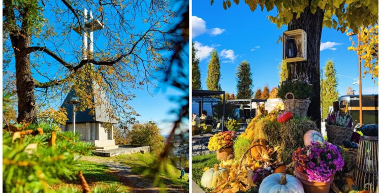 Agenda săptămânii în Cluj: evenimente 3 - 9 noiembrie 2025